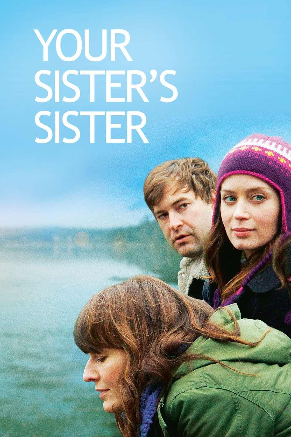 Your Sister's Sister est-il disponible sur Netflix ou autre ?