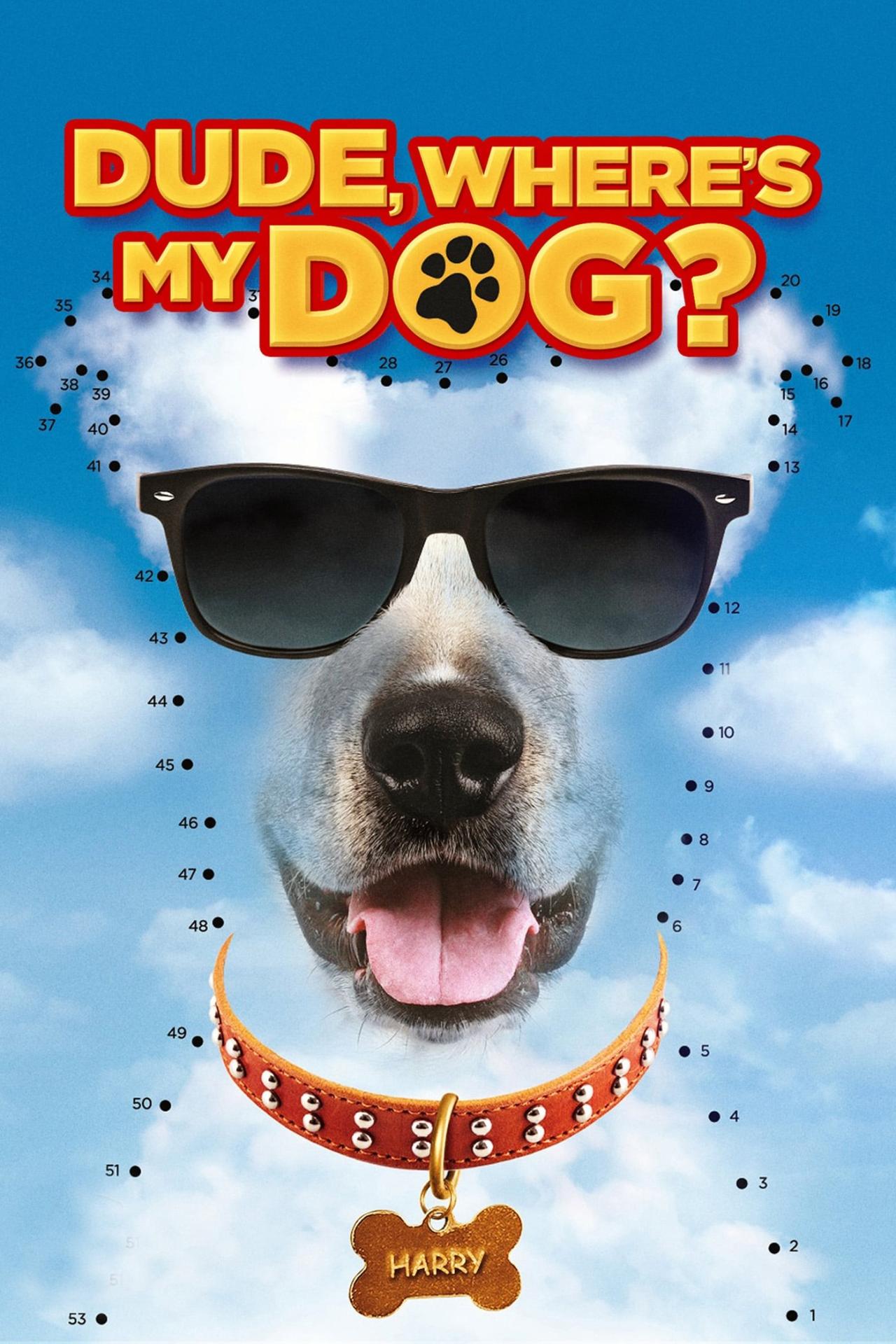 Dude Where's My Dog? est-il disponible sur Netflix ou autre ?