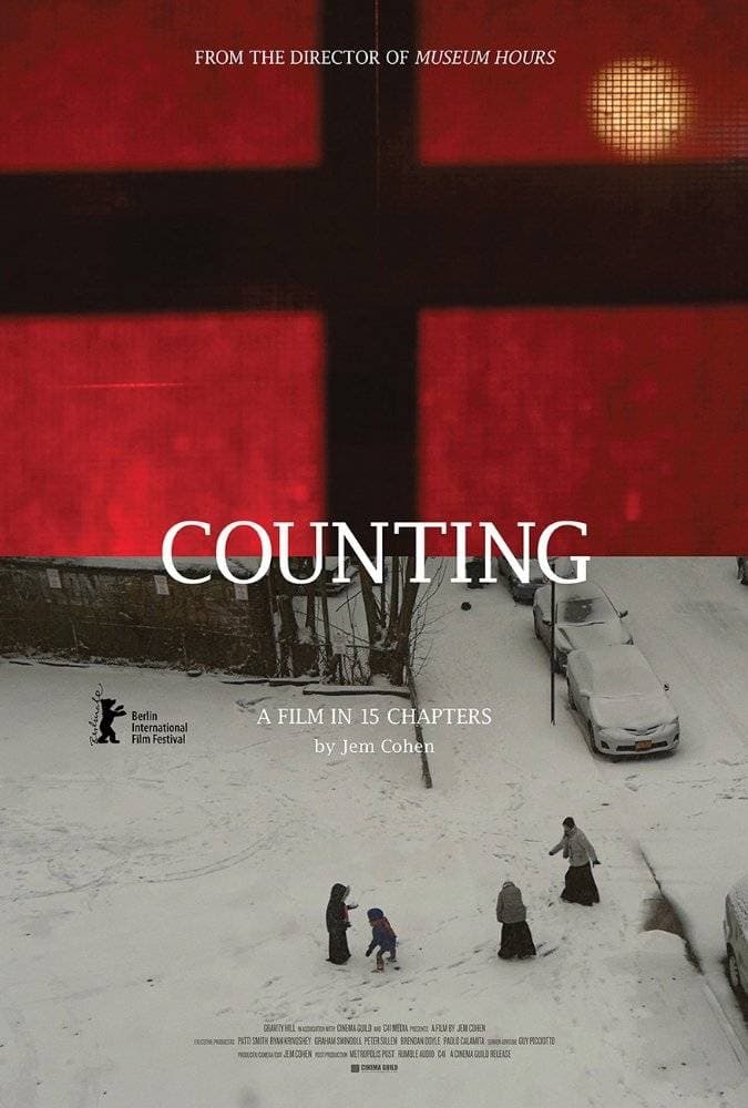 Counting est-il disponible sur Netflix ou autre ?