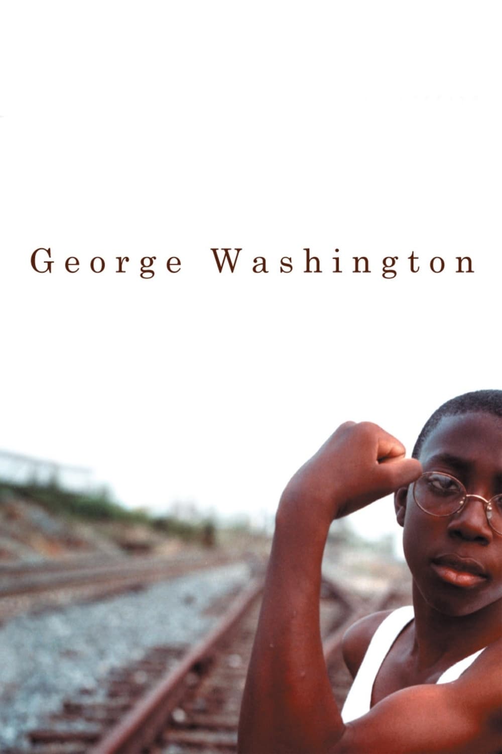 George Washington est-il disponible sur Netflix ou autre ?