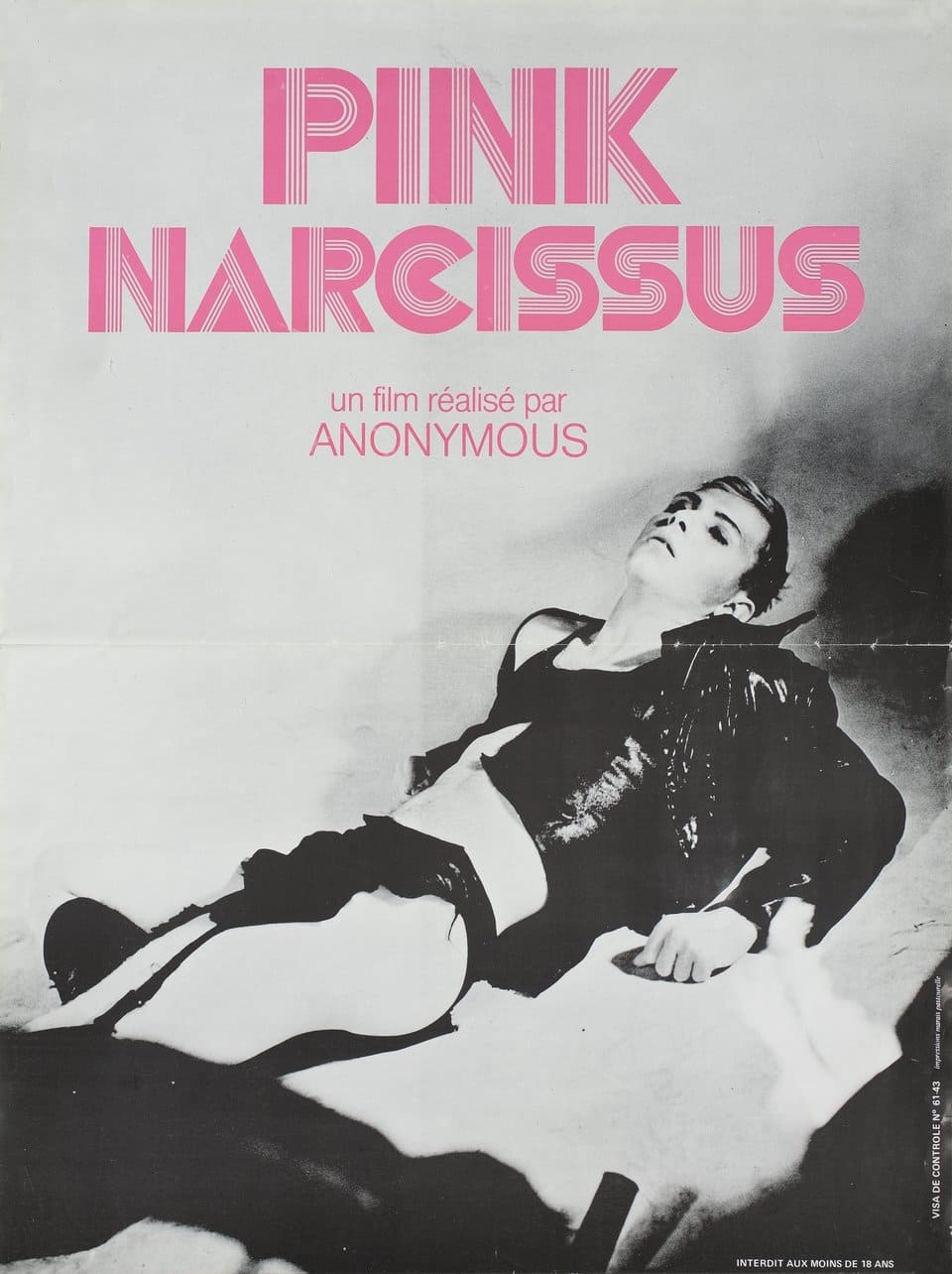 Affiche du film Pink Narcissus poster