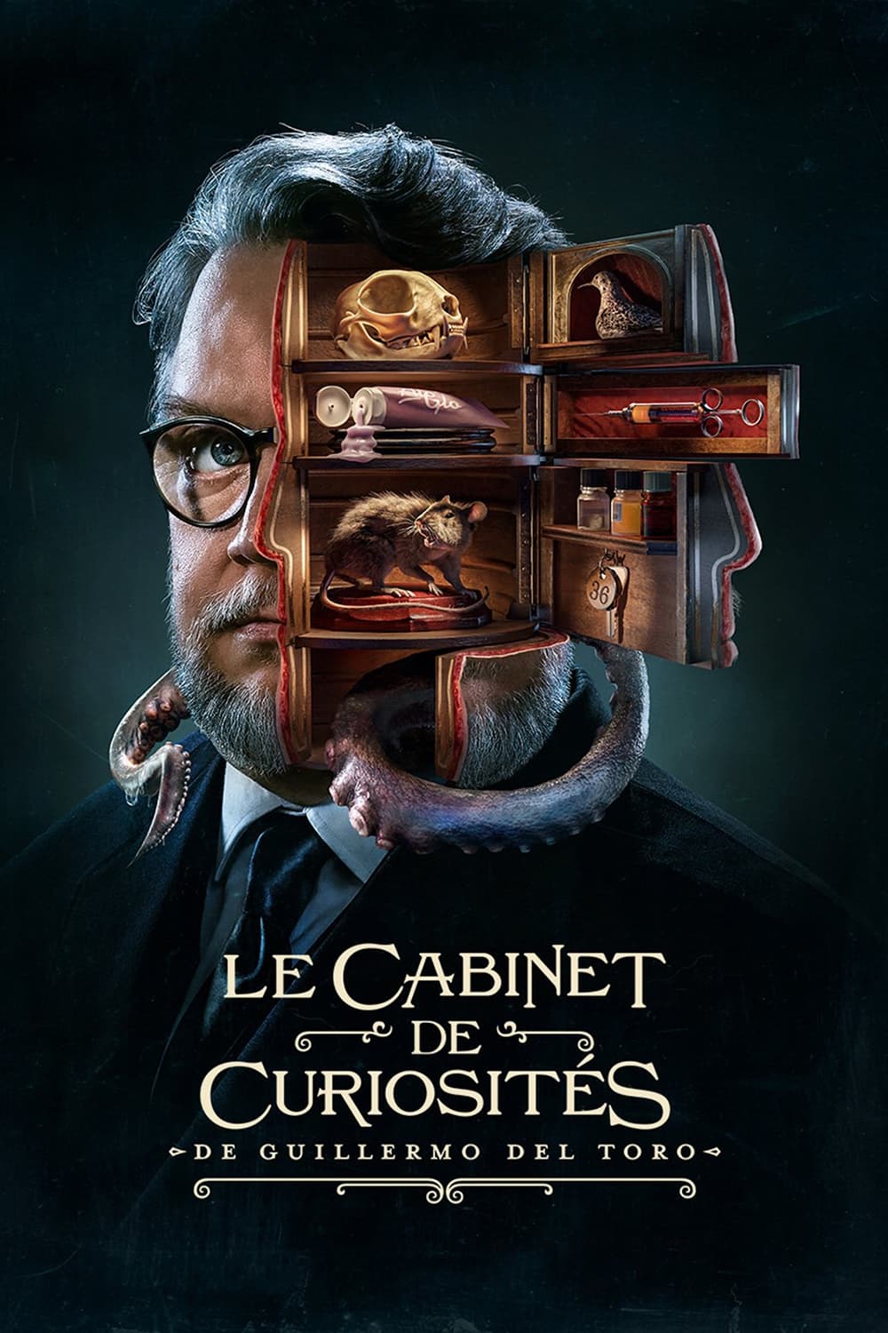 Les saisons de Le Cabinet de curiosités de Guillermo del Toro sont-elles disponibles sur Netflix ou autre ?