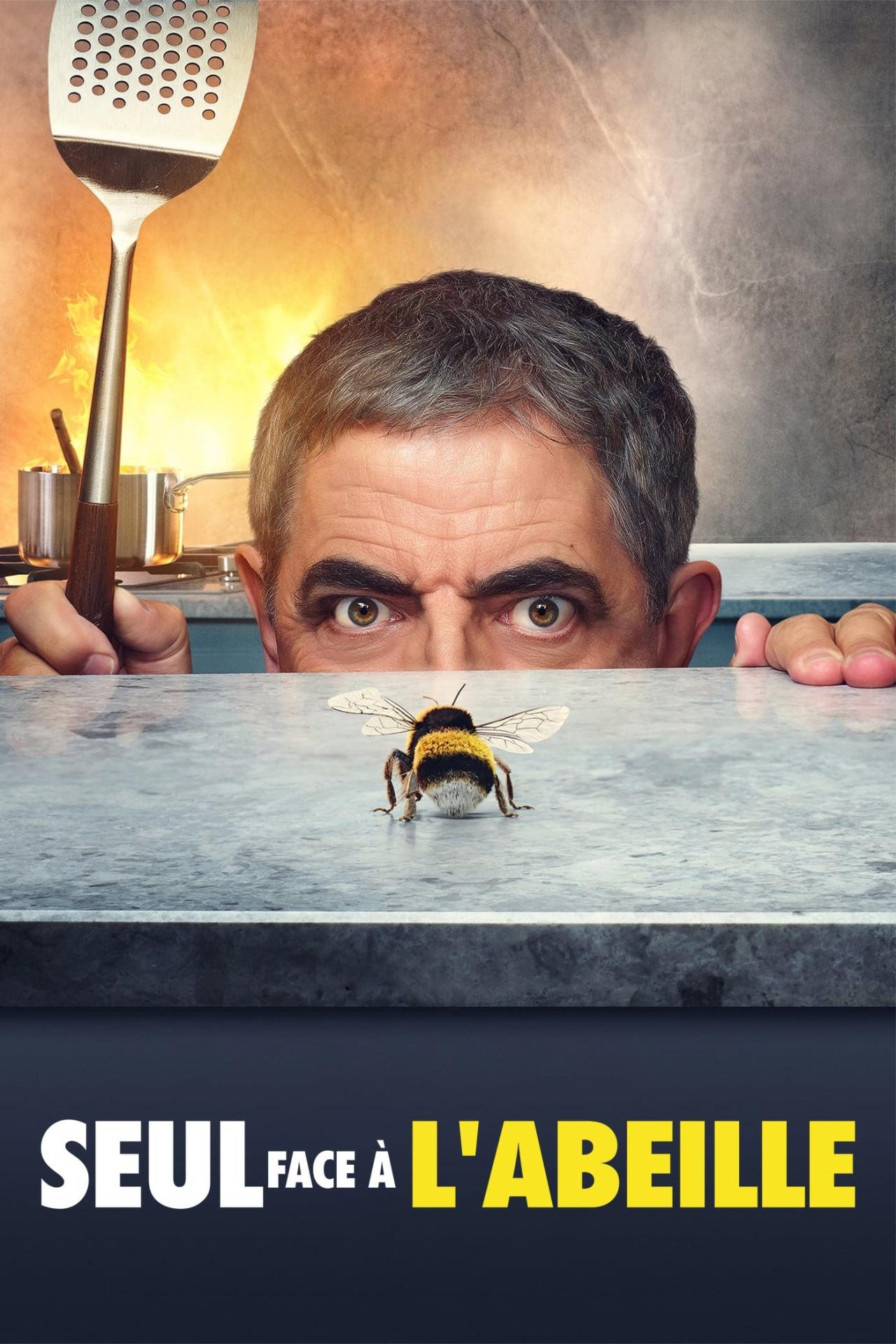 Affiche de la série Seul face à l'abeille