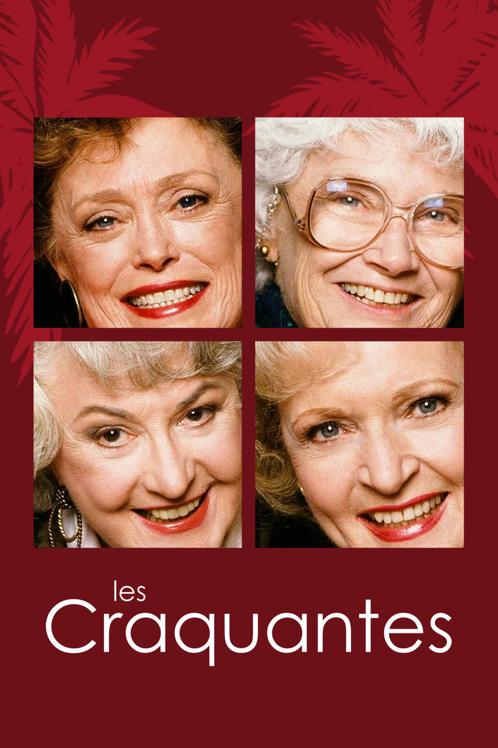 Les saisons de Les Craquantes sont-elles disponibles sur Netflix ou autre ?