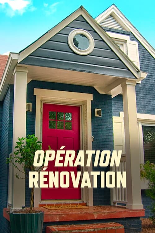 Affiche de la série Opération rénovation poster