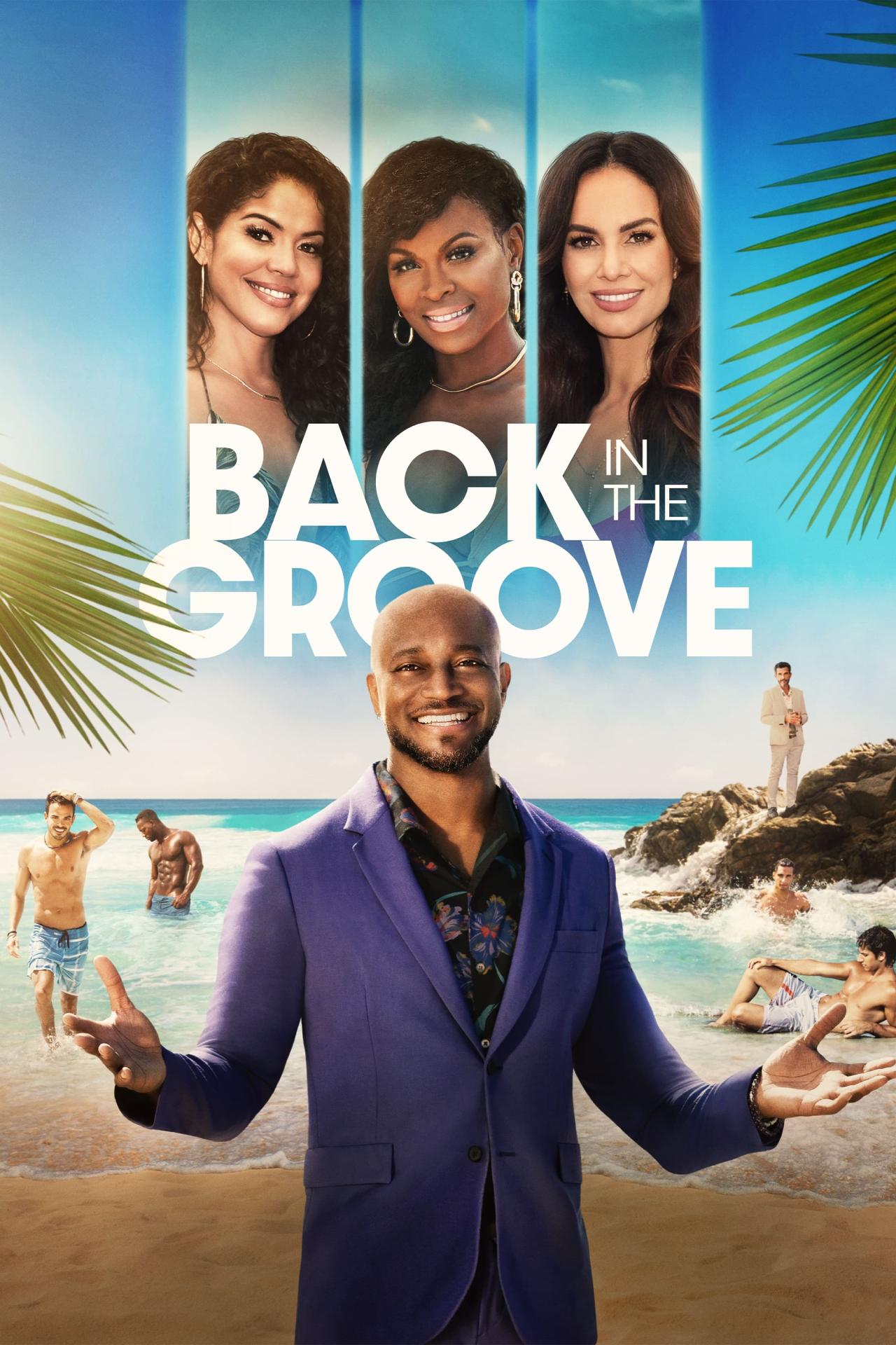 Les saisons de Back in the Groove sont-elles disponibles sur Netflix ou autre ?
