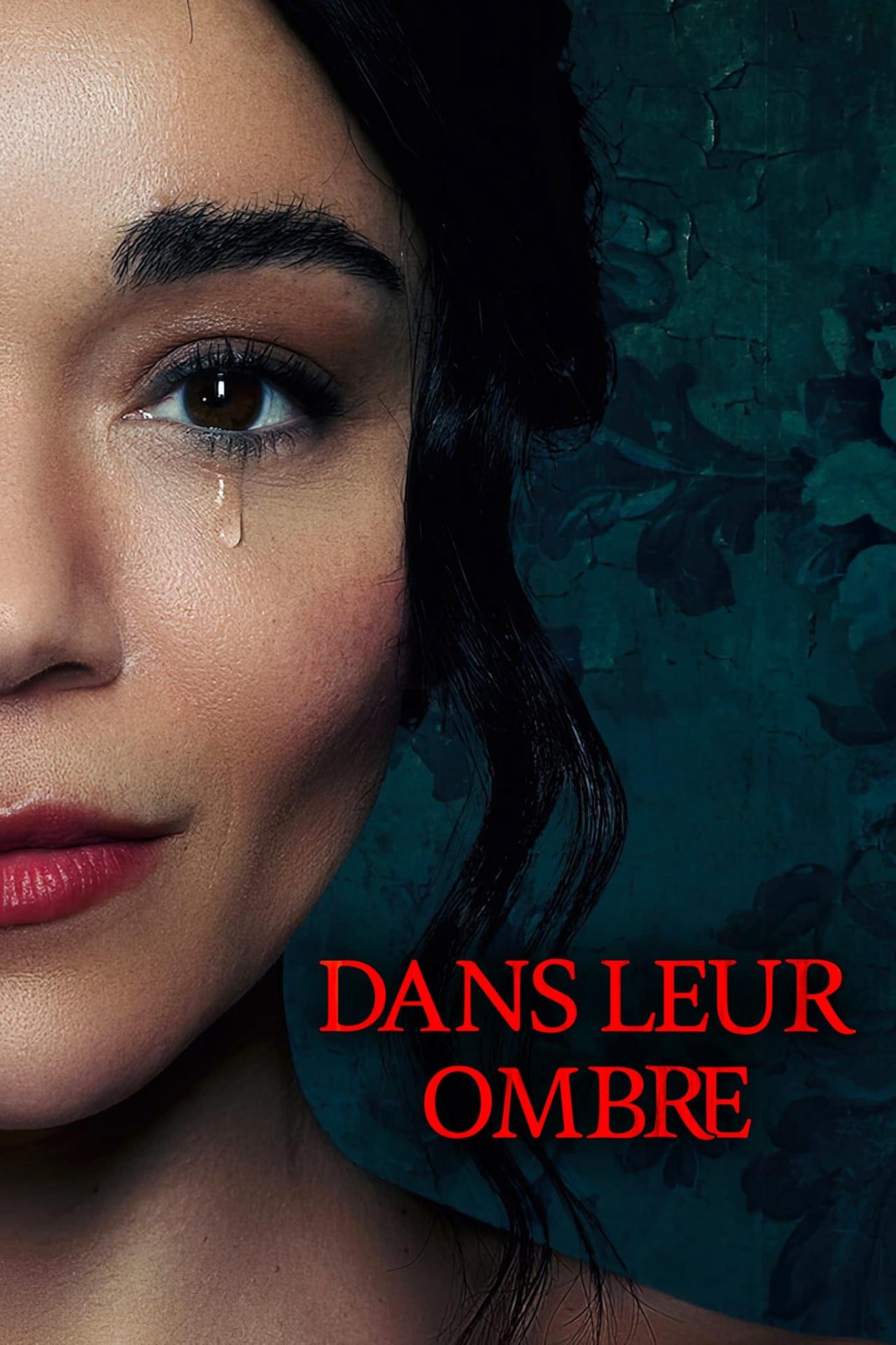 Affiche du film Dans leur ombre poster