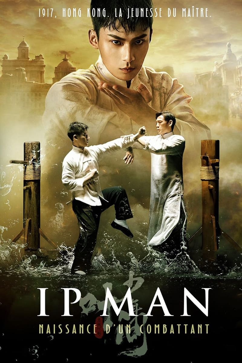 Affiche du film Ip Man : Naissance d'un combattant poster