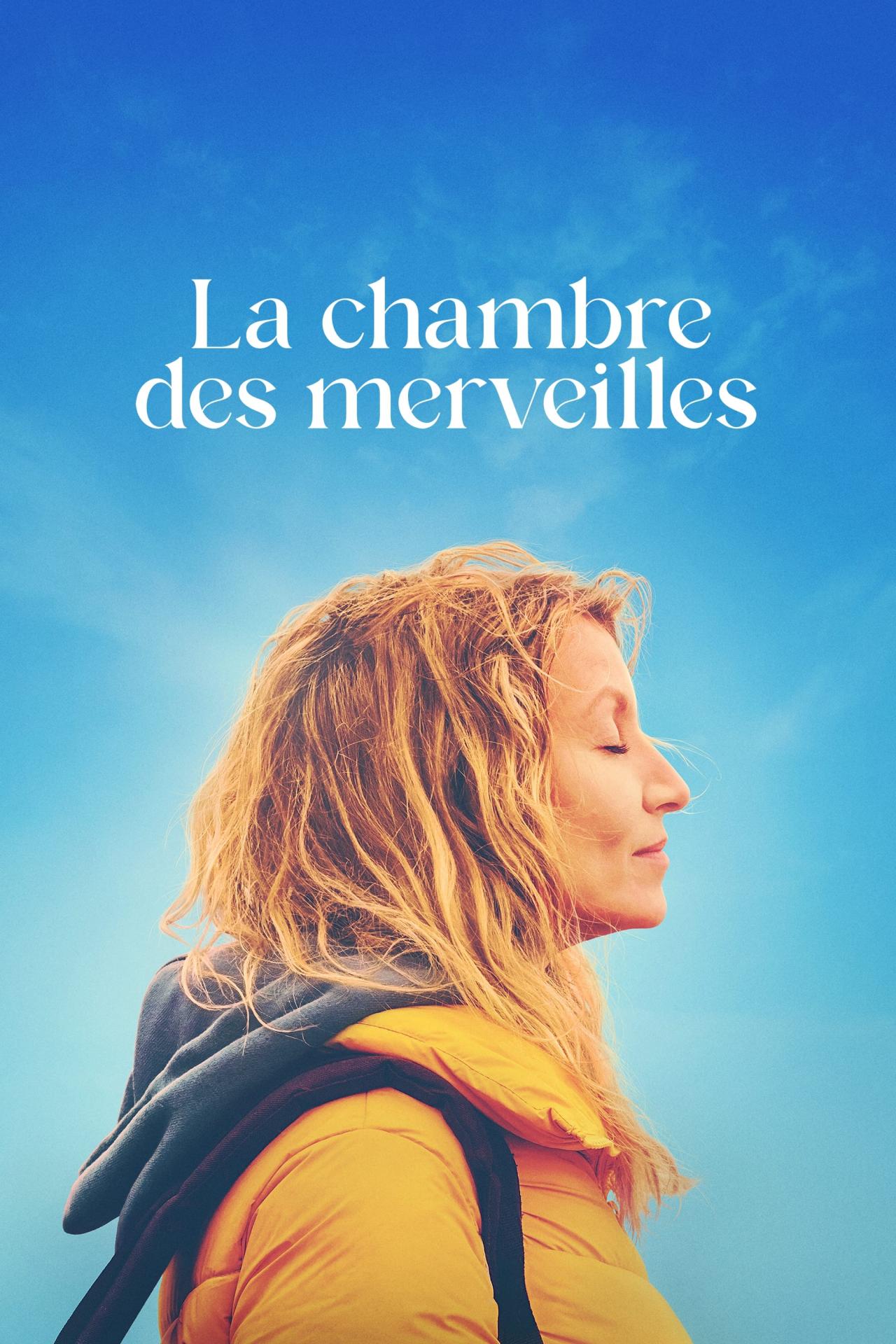 La Chambre des merveilles est-il disponible sur Netflix ou autre ?