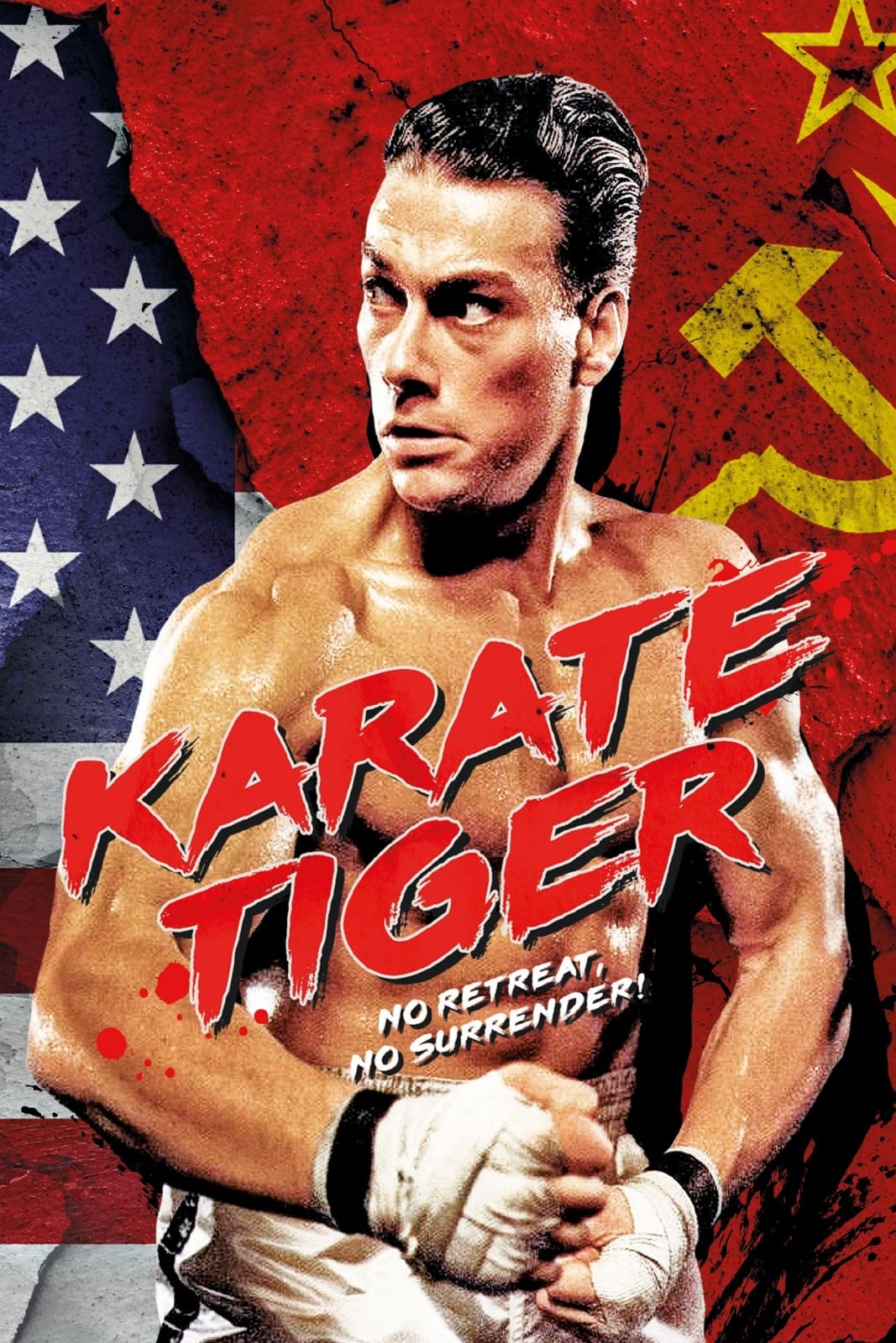 Karaté Tiger est-il disponible sur Netflix ou autre ?