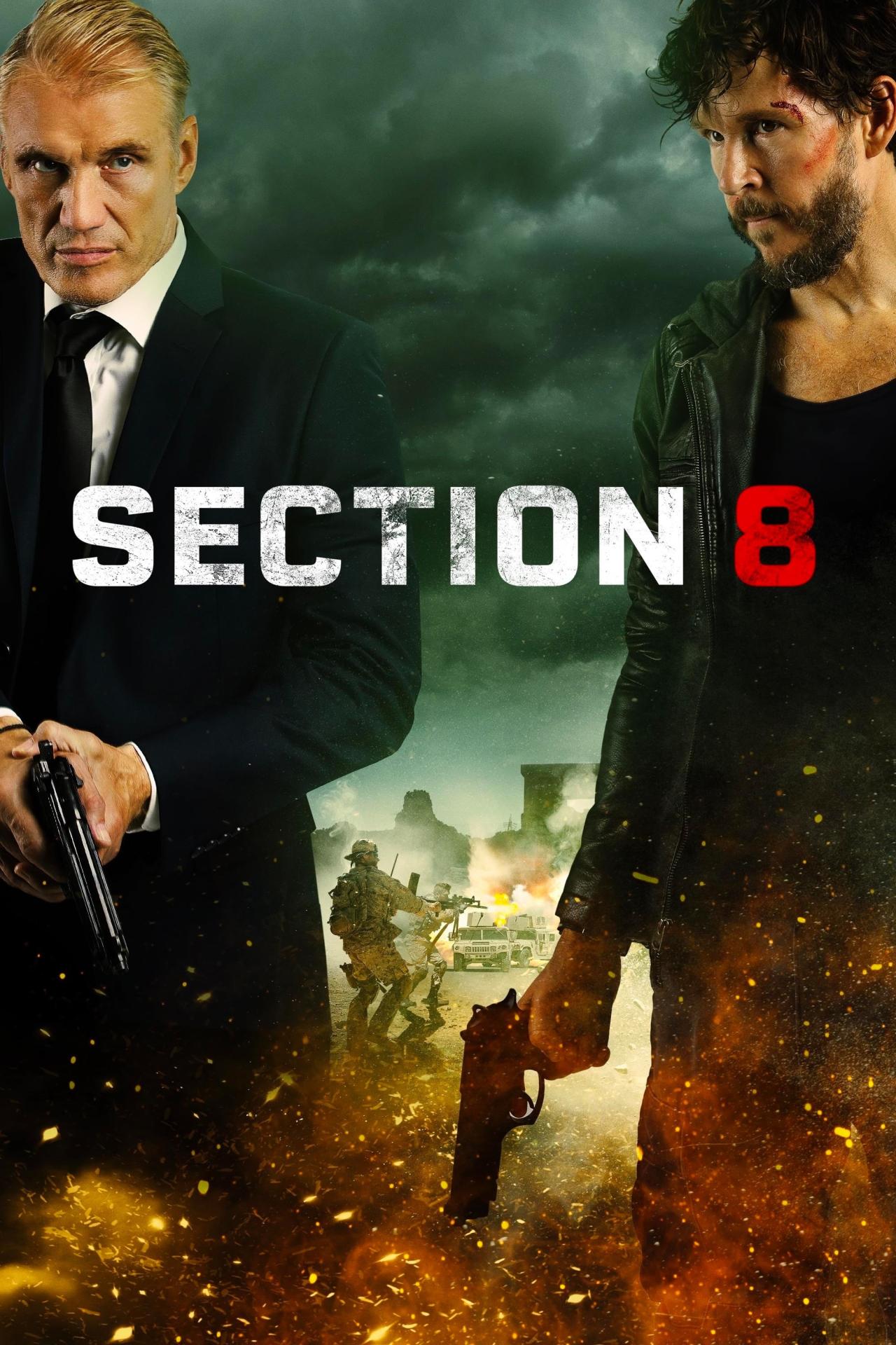 Section 8 est-il disponible sur Netflix ou autre ?