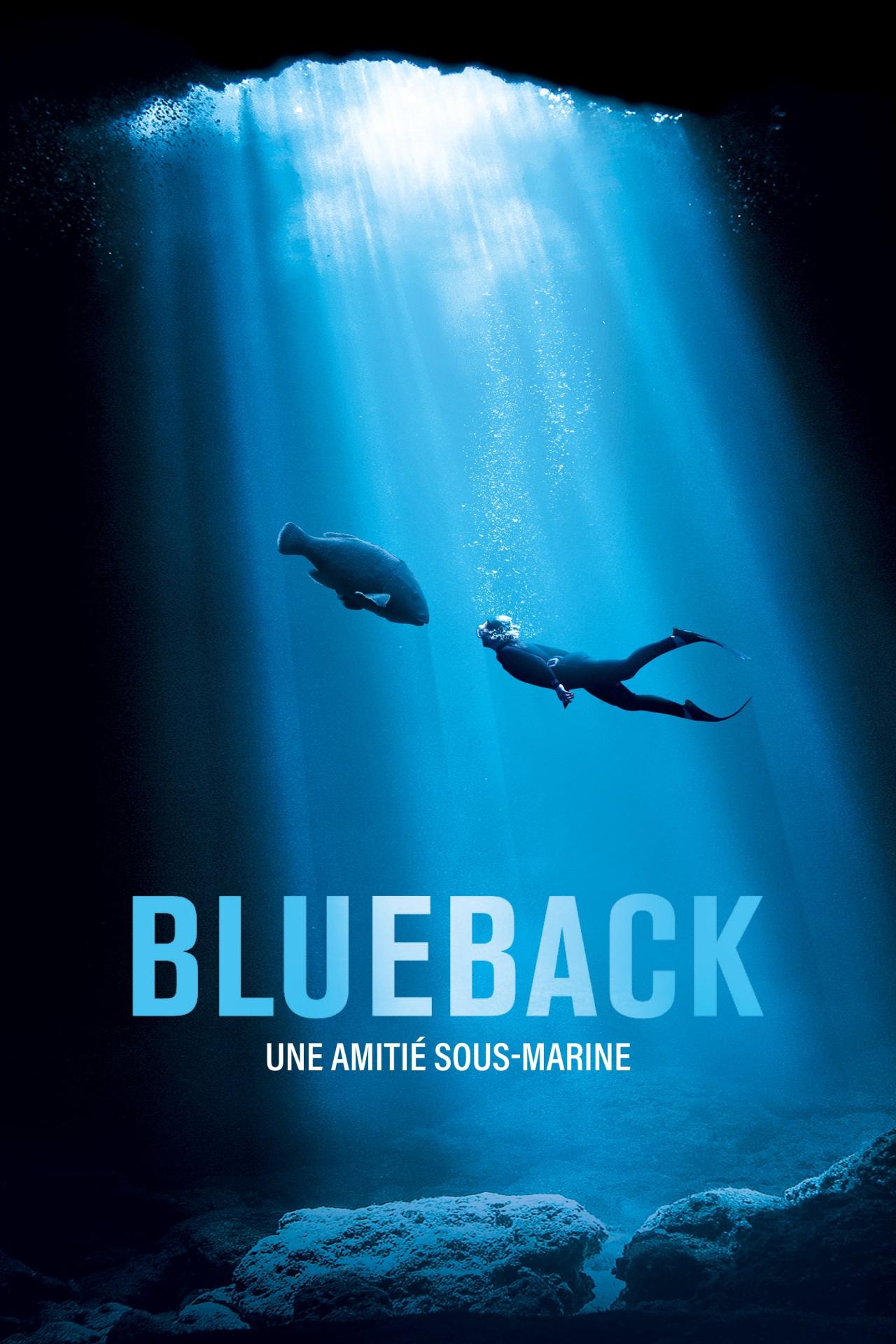 Affiche du film Blueback : Une amitié sous-marine