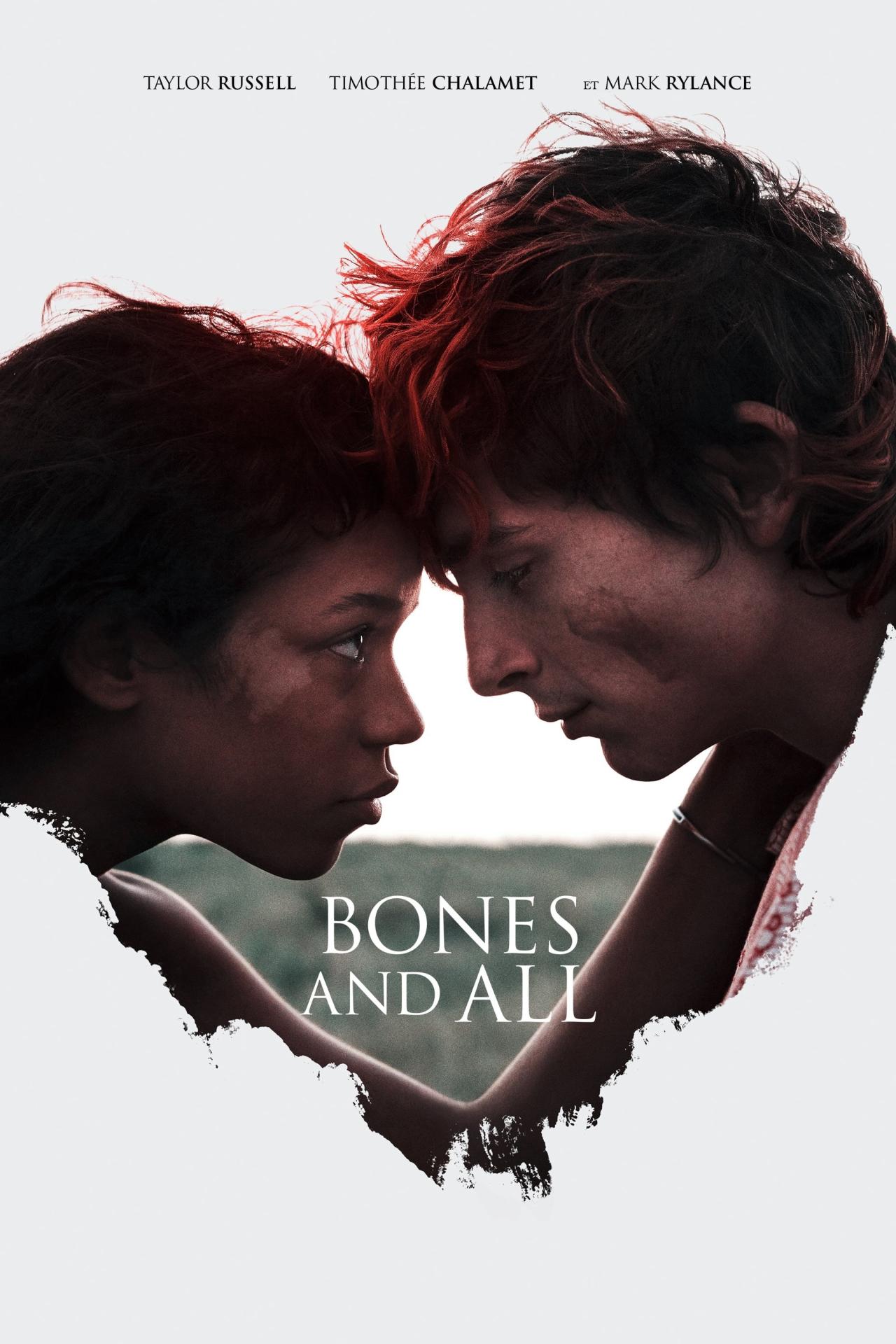 Bones and All est-il disponible sur Netflix ou autre ?
