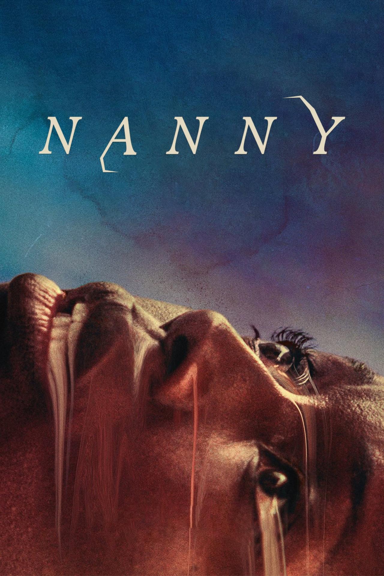 NANNY est-il disponible sur Netflix ou autre ?