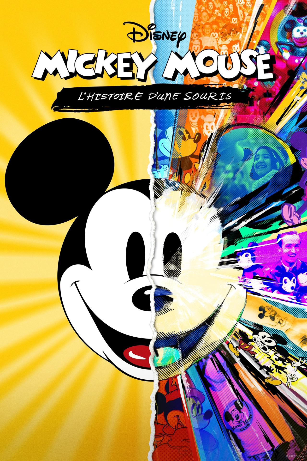 Affiche du film Mickey Mouse : l’histoire d’une souris