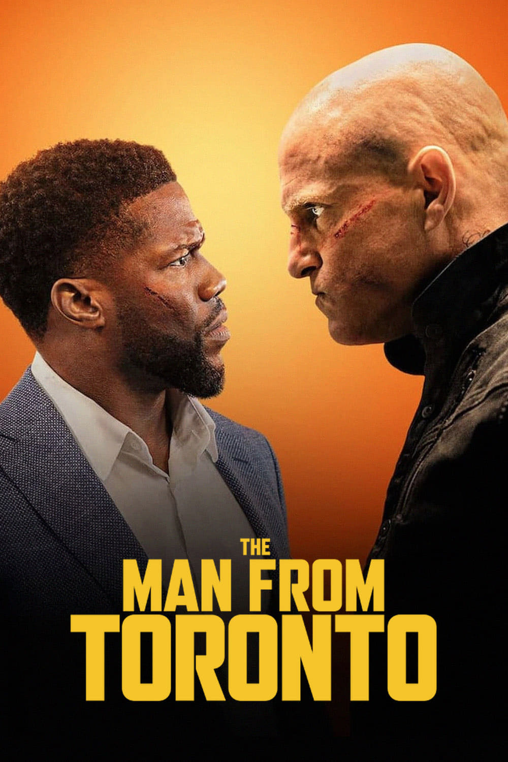 Affiche du film The Man from Toronto poster