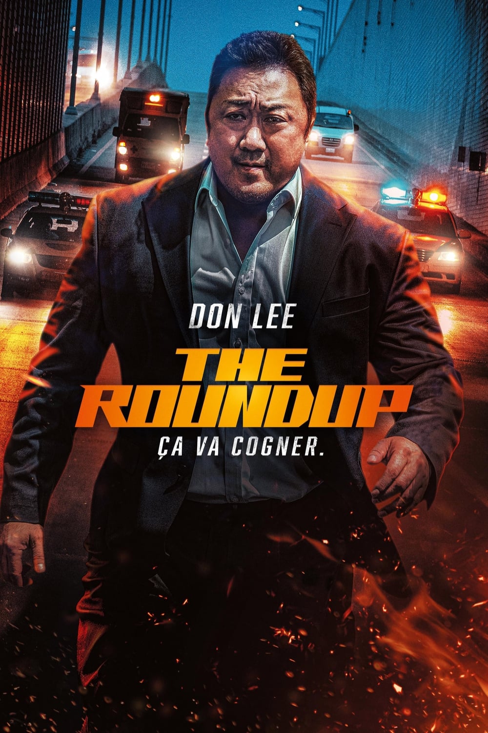 Affiche du film The Roundup