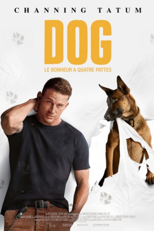 Dog est-il disponible sur Netflix ou autre ?