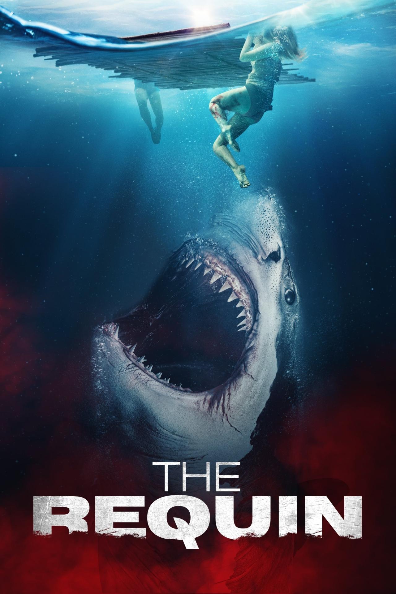 Affiche du film The Requin poster