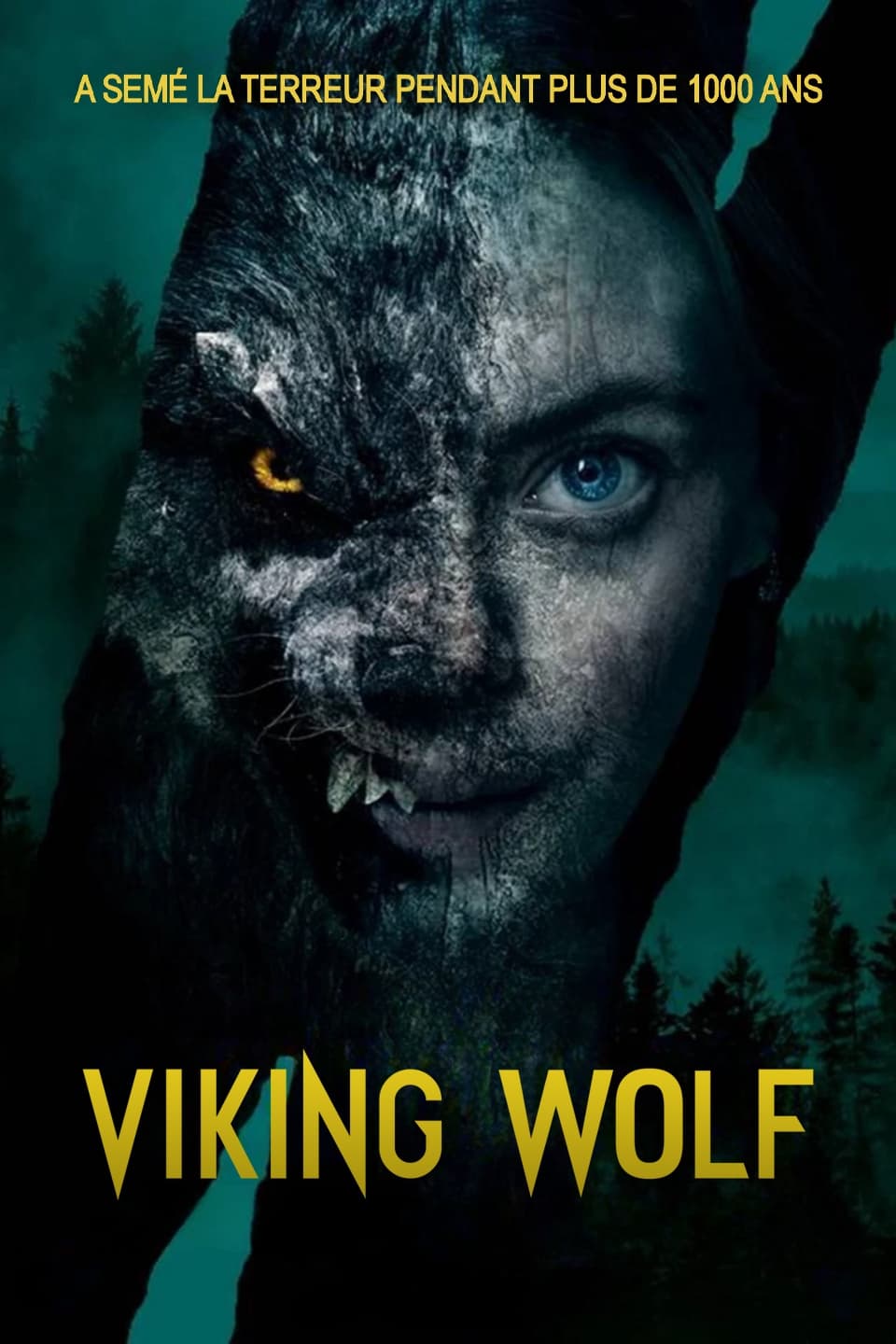 Affiche du film Viking Wolf poster