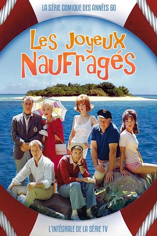 Les saisons de Les joyeux naufragés sont-elles disponibles sur Netflix ou autre ?