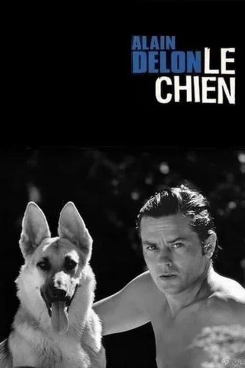 Le Chien est-il disponible sur Netflix ou autre ?