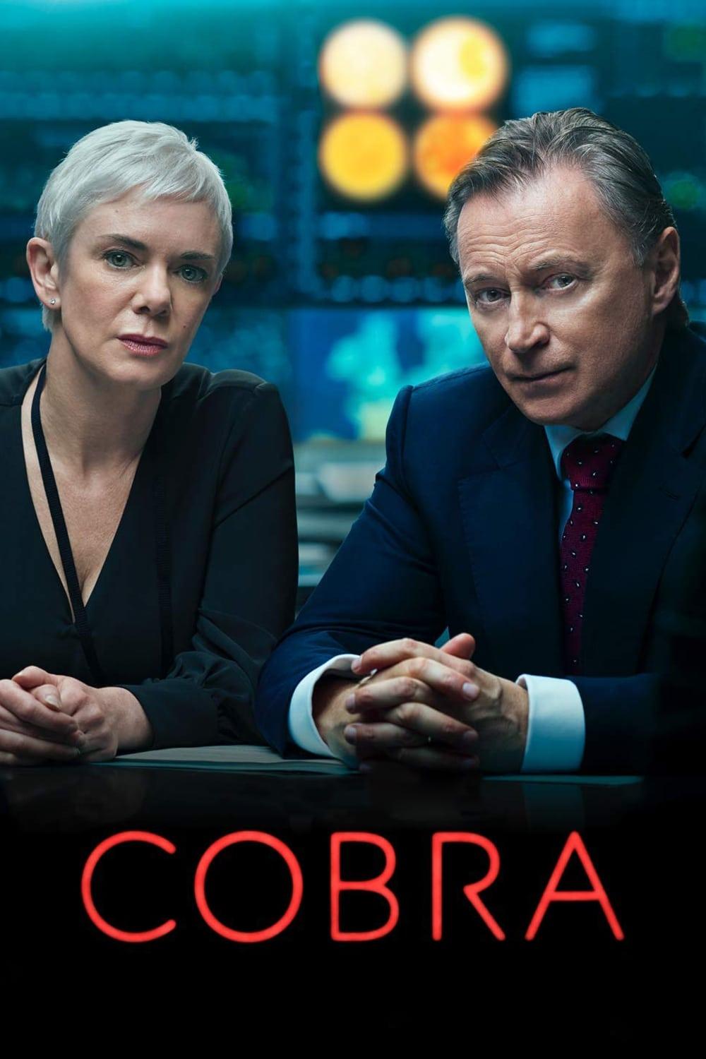 Les saisons de COBRA sont-elles disponibles sur Netflix ou autre ?