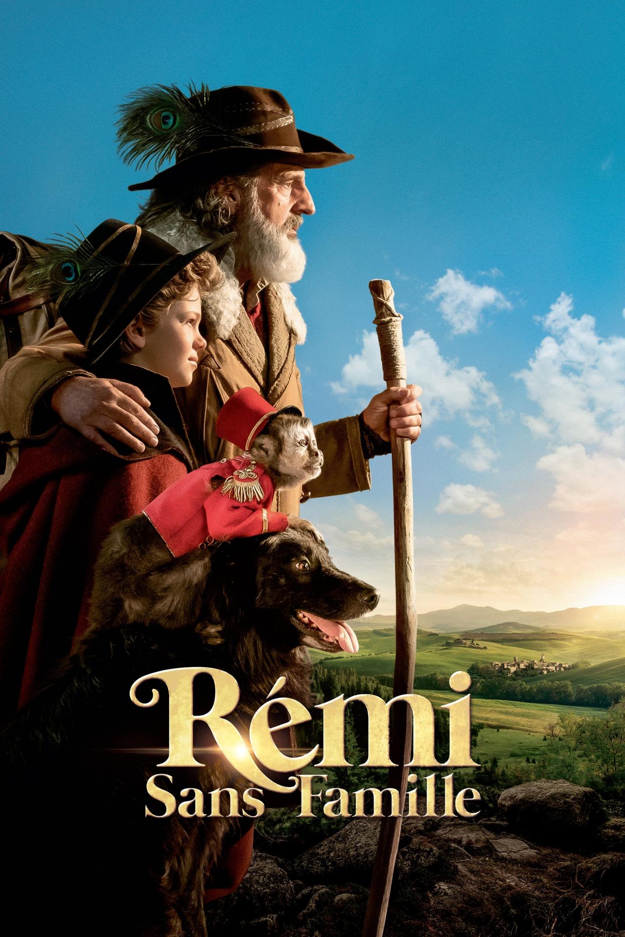 Affiche du film Rémi sans famille poster