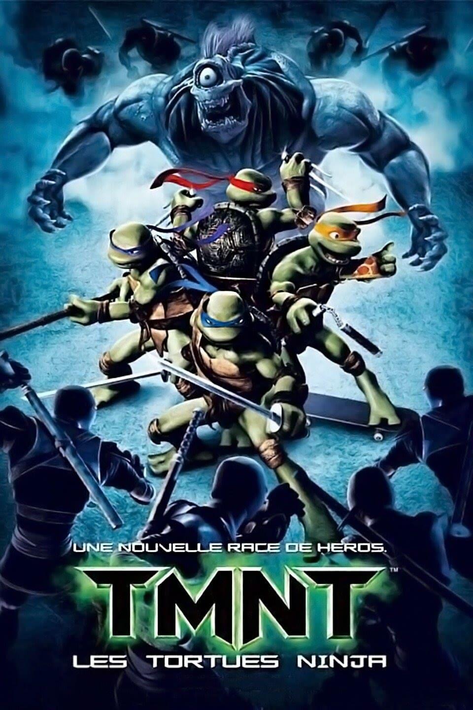 Affiche du film TMNT poster
