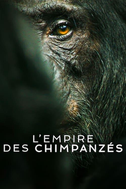 Affiche de la série L'Empire des chimpanzés