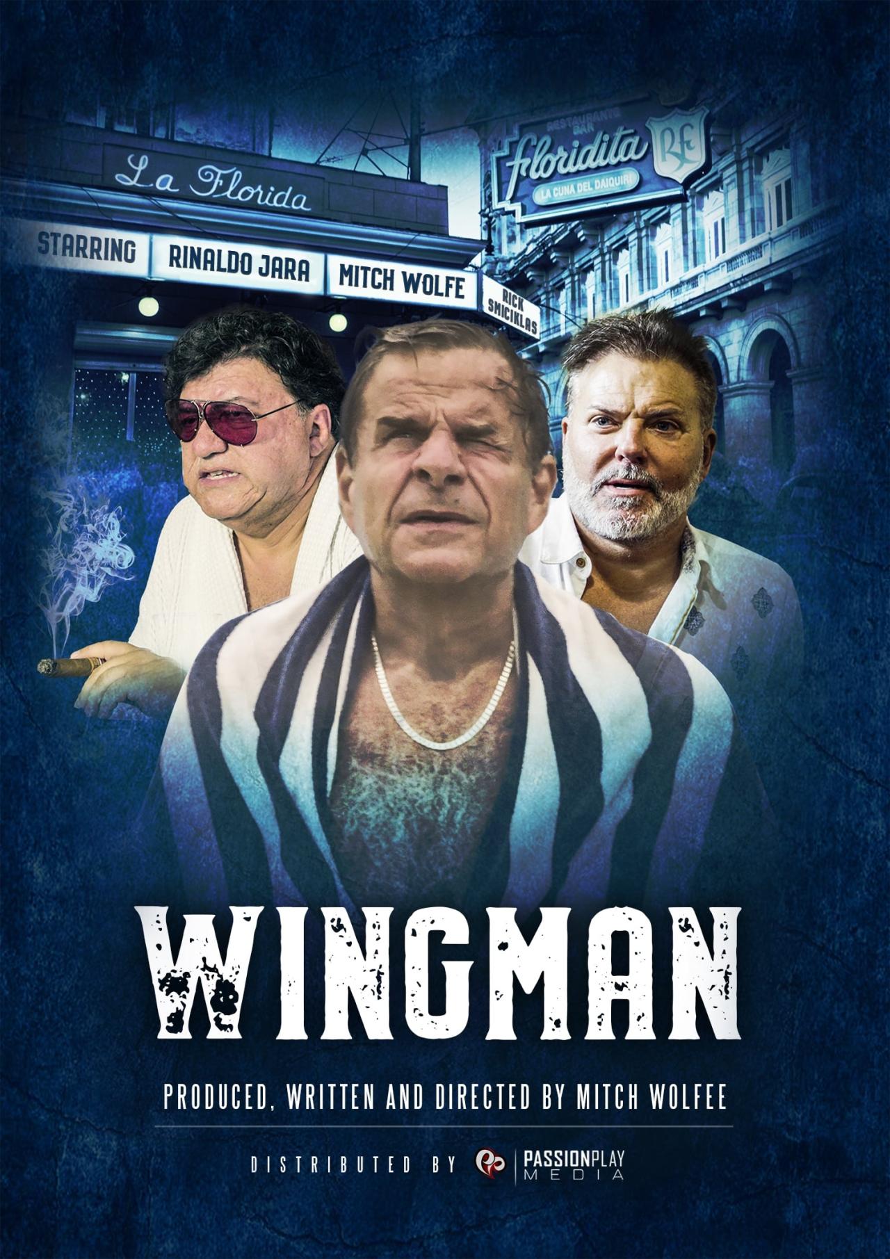 WingMan est-il disponible sur Netflix ou autre ?
