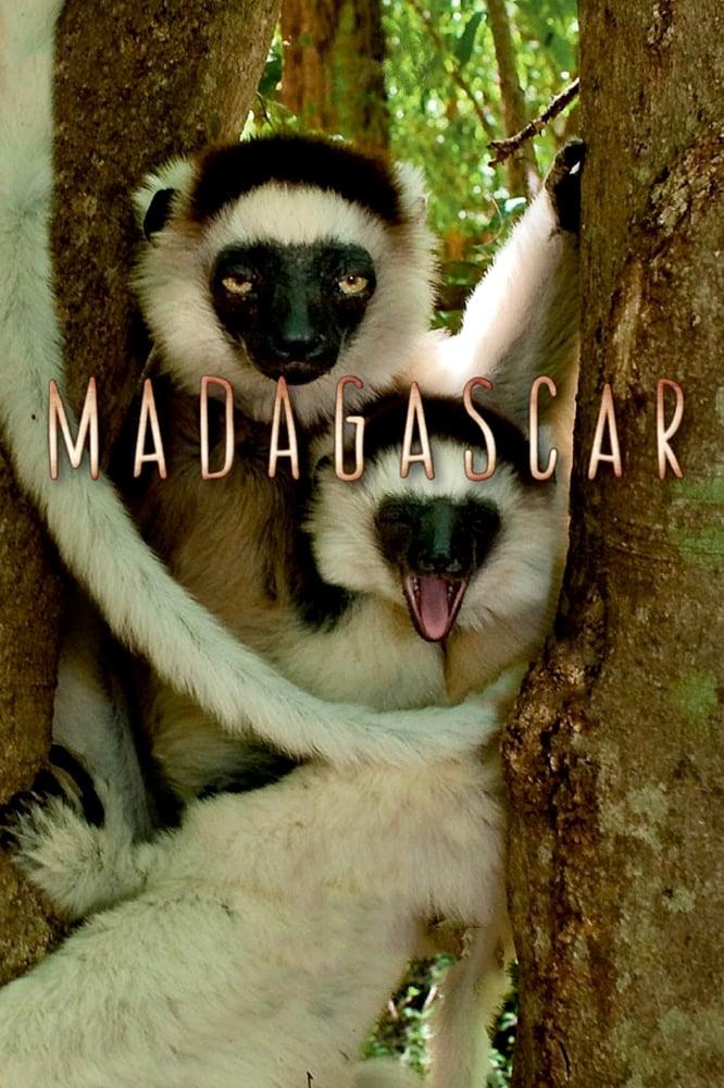 Affiche de la série Madagascar, le monde perdu poster