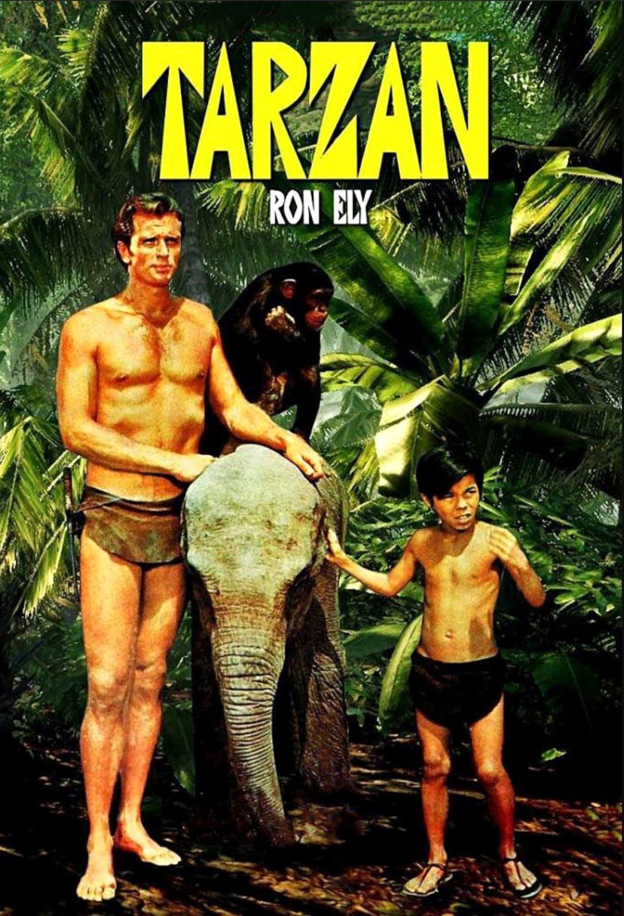 Les saisons de Tarzan sont-elles disponibles sur Netflix ou autre ?