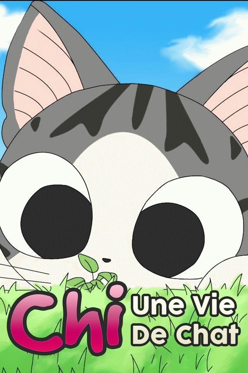 Les saisons de Chi, Une Vie de Chat sont-elles disponibles sur Netflix ou autre ?