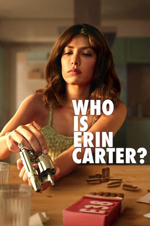 Les saisons de Who is Erin Carter? sont-elles disponibles sur Netflix ou autre ?