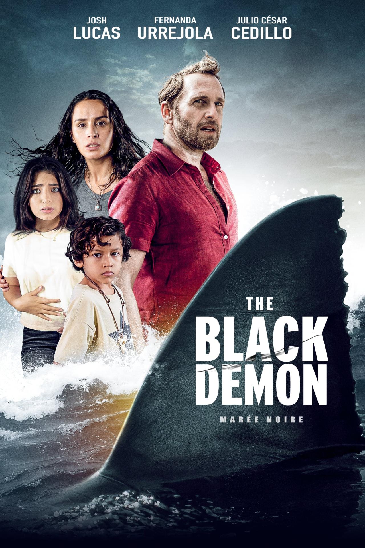 The Black Demon est-il disponible sur Netflix ou autre ?