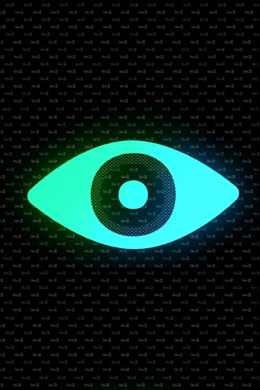 Les saisons de Big Brother sont-elles disponibles sur Netflix ou autre ?