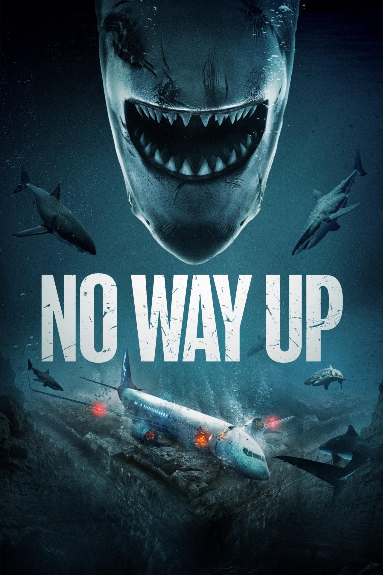 No Way Up est-il disponible sur Netflix ou autre ?