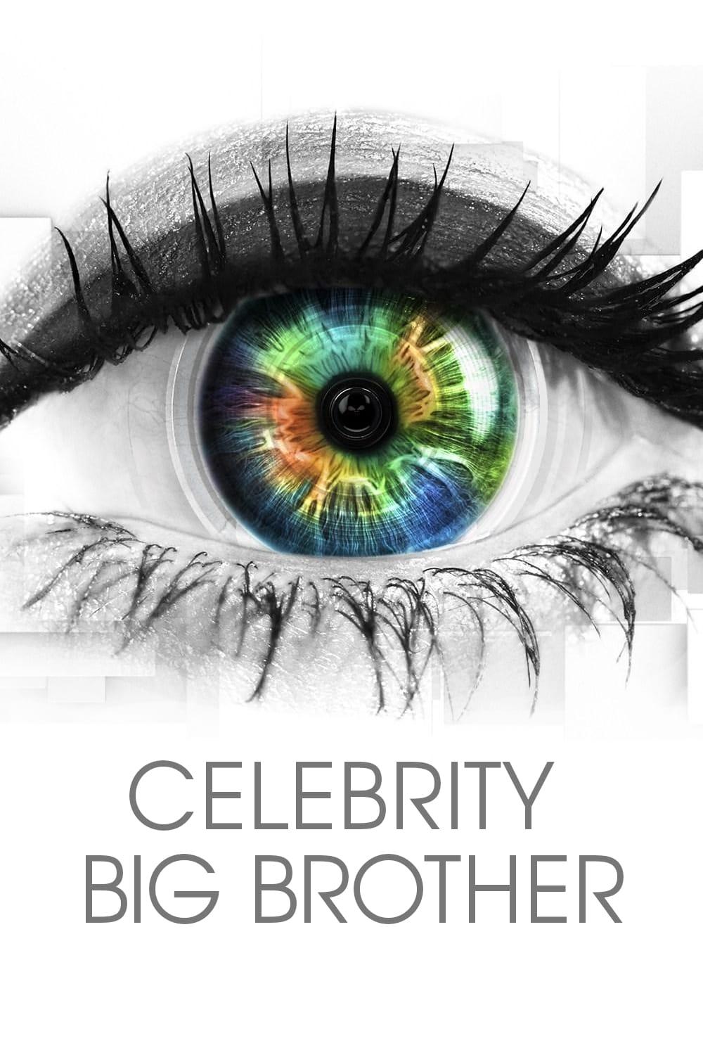 Les saisons de Celebrity Big Brother sont-elles disponibles sur Netflix ou autre ?