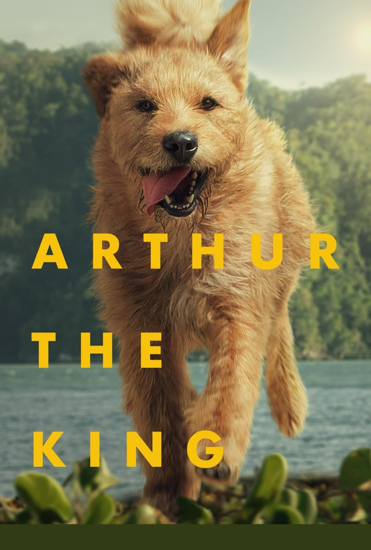 Affiche du film Arthur the King poster