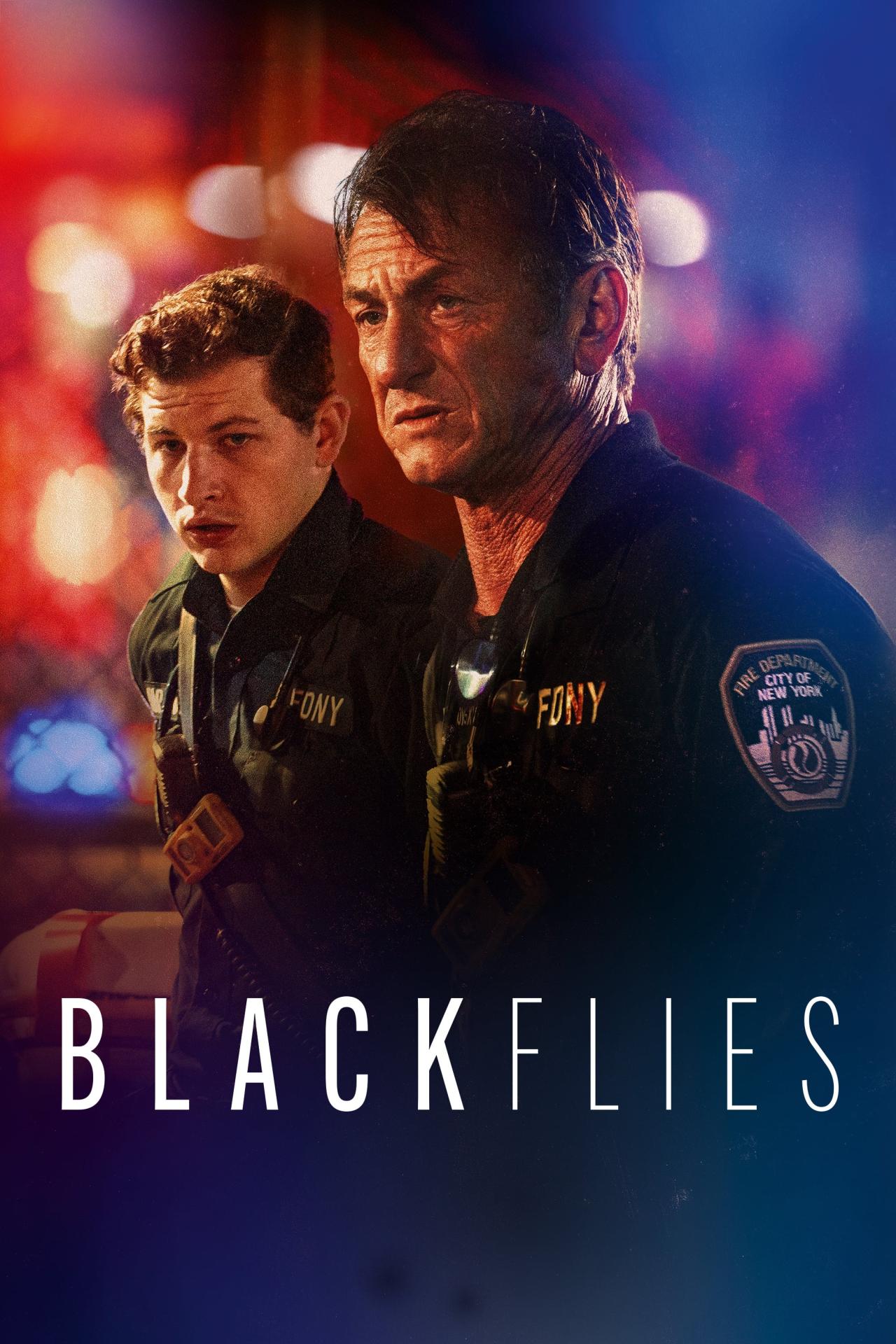 Affiche du film Black Flies poster