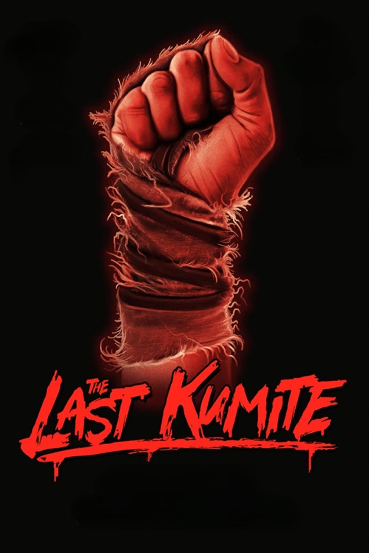 Affiche du film The Last Kumite poster