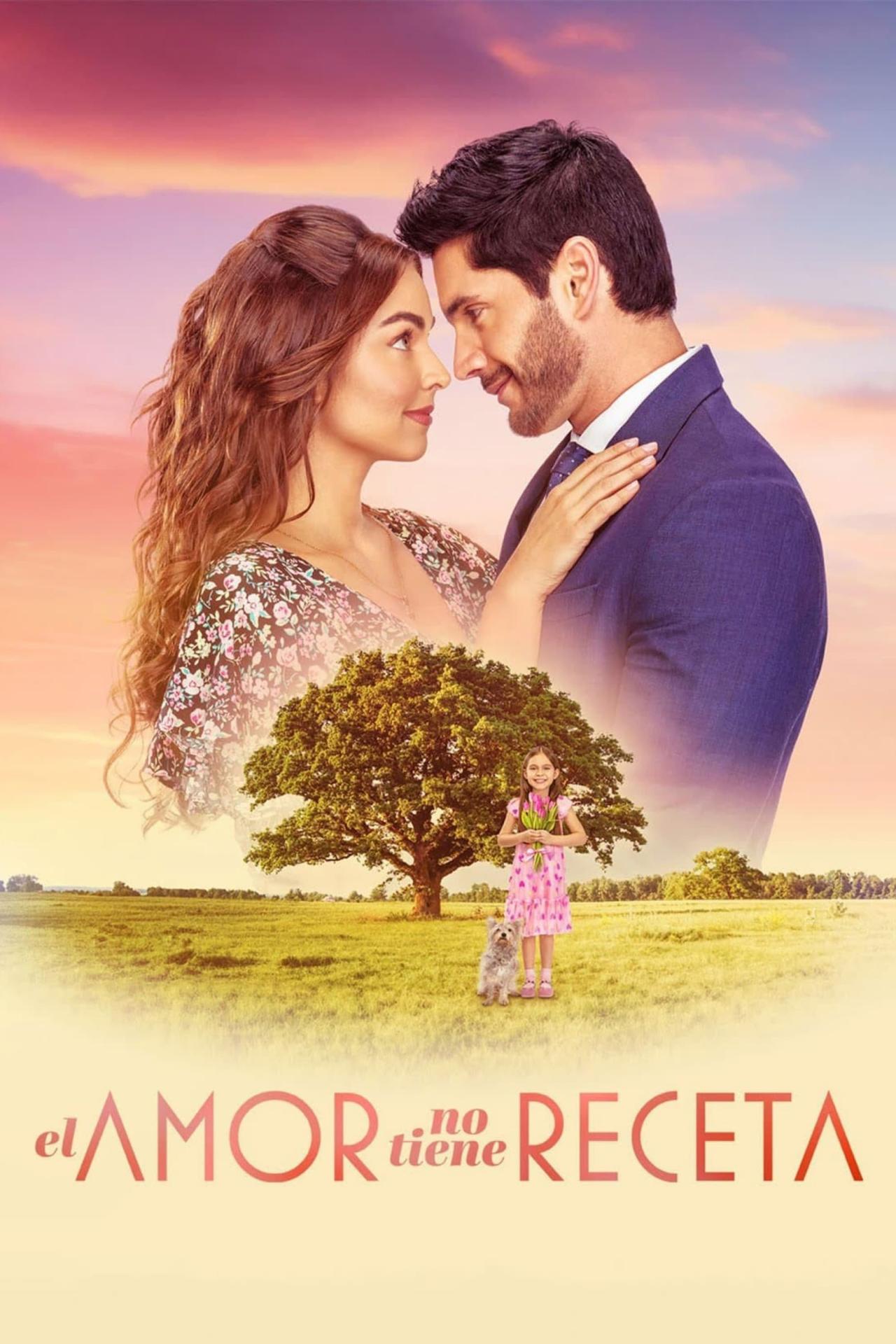 Les saisons de El amor no tiene receta sont-elles disponibles sur Netflix ou autre ?
