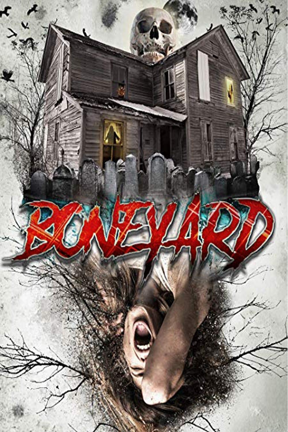 Boneyard est-il disponible sur Netflix ou autre ?