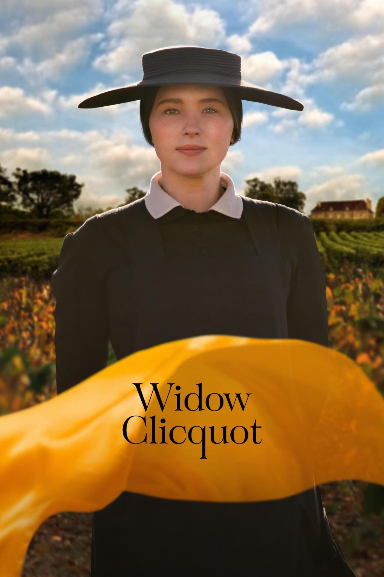 La Veuve Clicquot est-il disponible sur Netflix ou autre ?