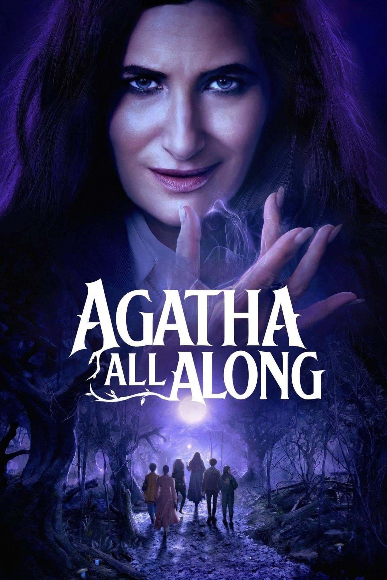 Les saisons de Agatha All Along sont-elles disponibles sur Netflix ou autre ?