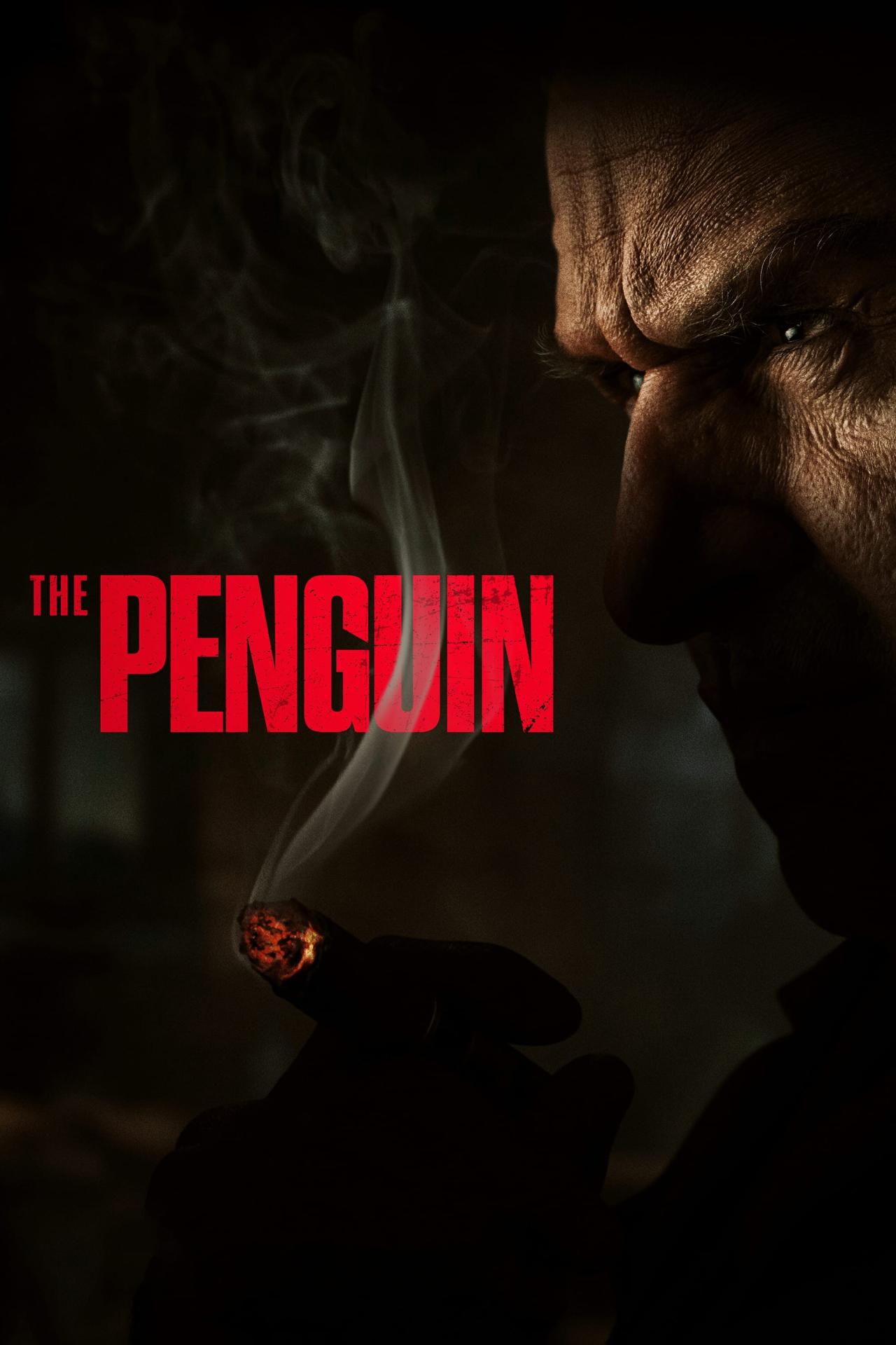 Les saisons de The Penguin sont-elles disponibles sur Netflix ou autre ?