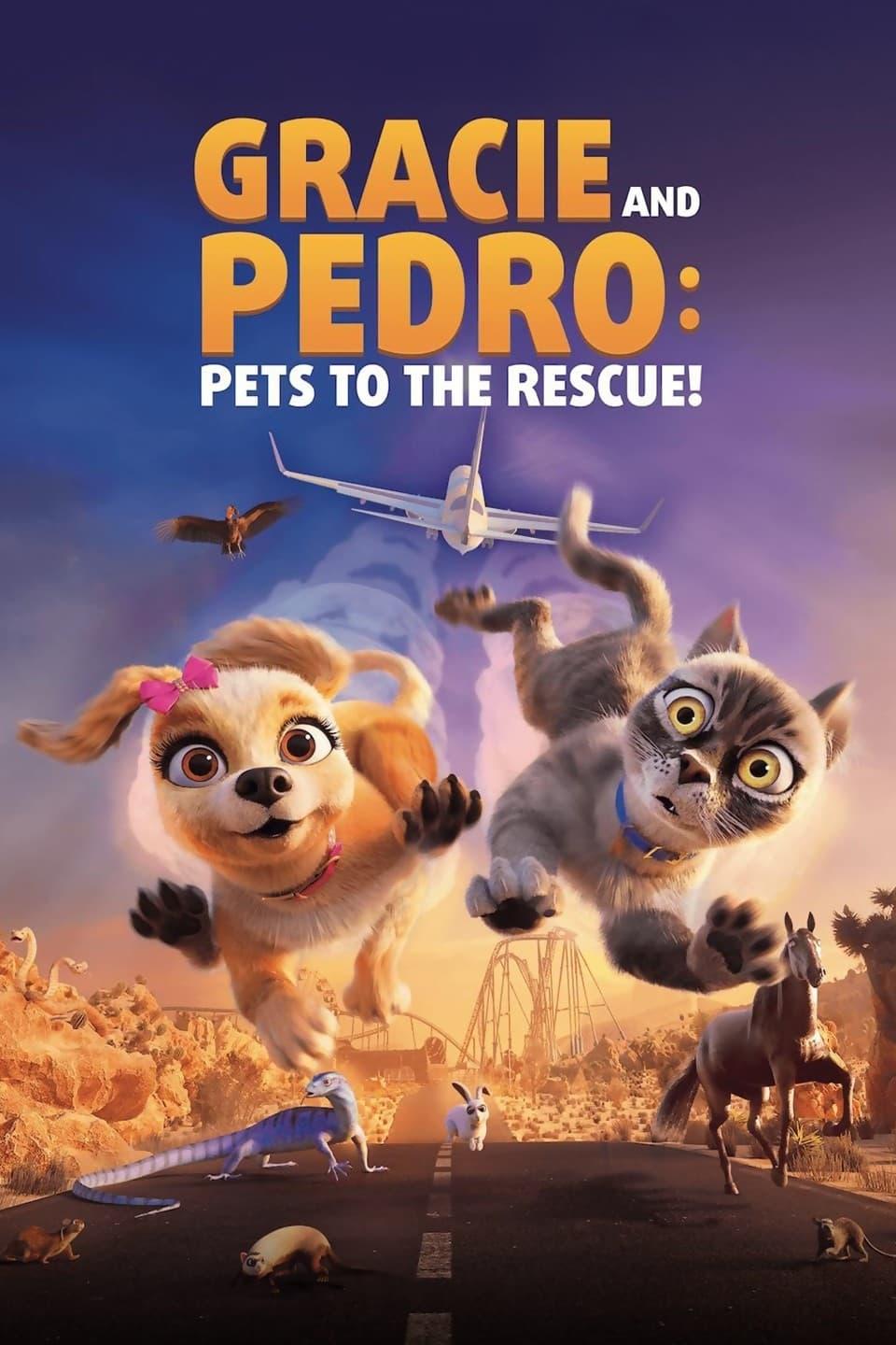 Affiche du film Gracie & Pedro: Pets to the Rescue poster