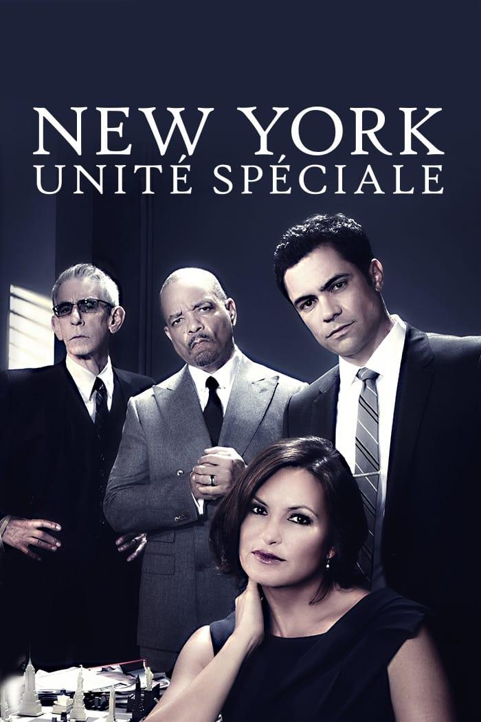 Les saisons de New York Unité Spéciale sont-elles disponibles sur Netflix ou autre ?