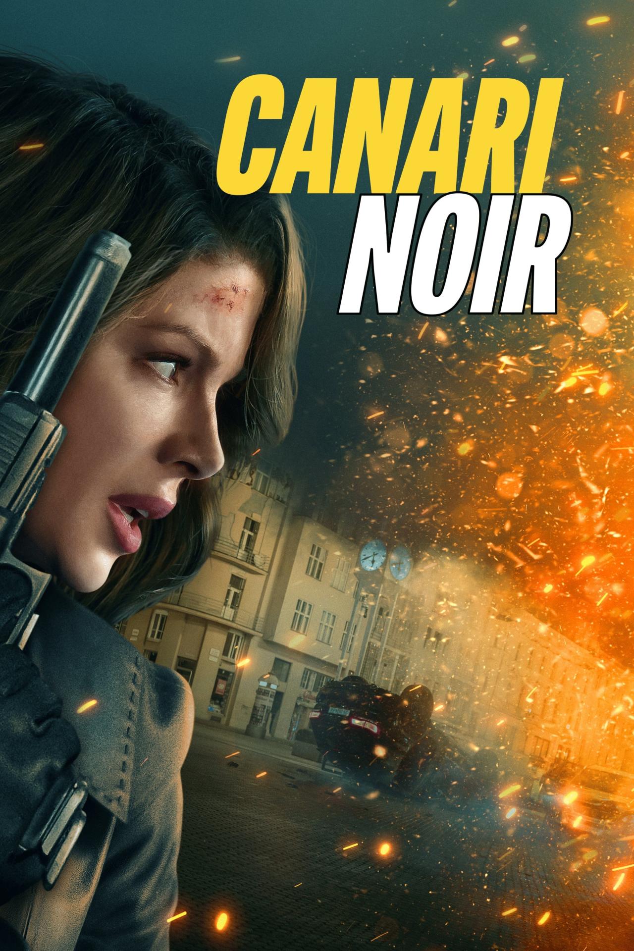 Canary Black est-il disponible sur Netflix ou autre ?